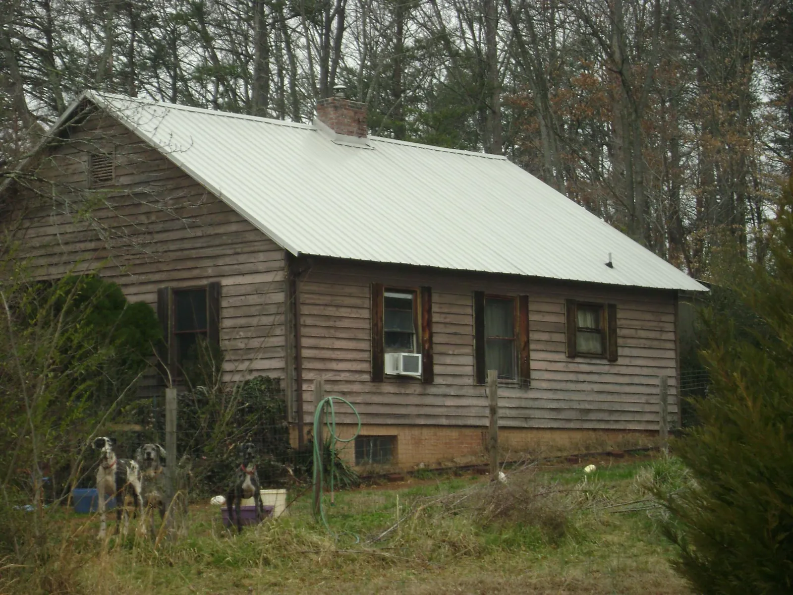 White metal roof on an old wood sided farmhouse, from a Metal Roof Installation job in Plevna